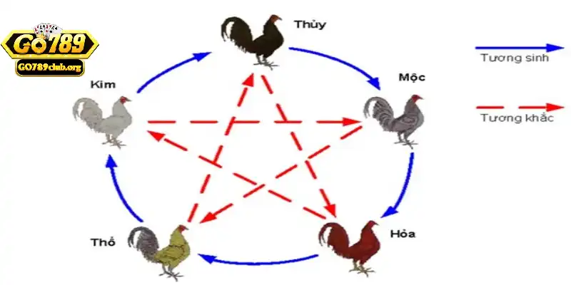 Ý nghĩa của việc xác định màu mạng gà đá tại Go789