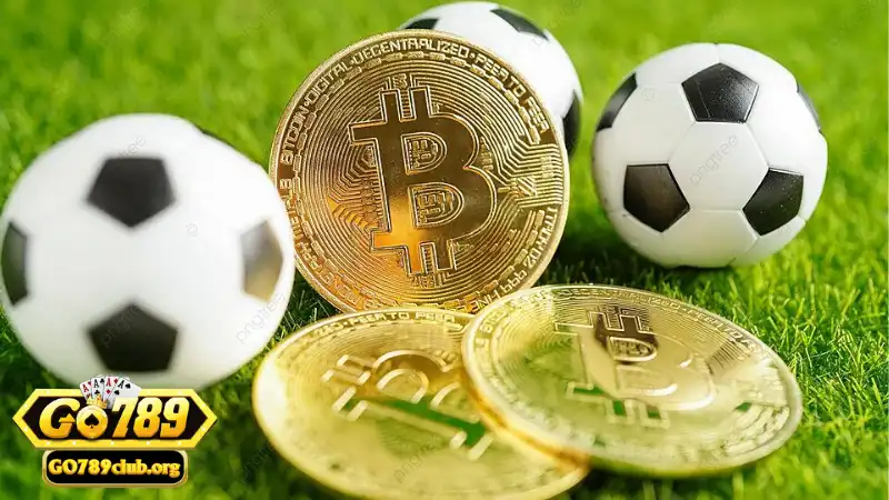 Có giấy phép hợp pháp